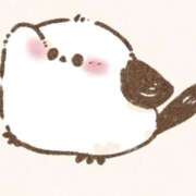 ヒメ日記 2025/01/24 09:48 投稿 一色十和子(とわこ) 東京不倫～とうきょうふりん～