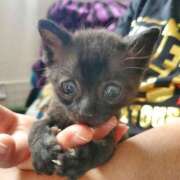 ヒメ日記 2025/06/23 19:49 投稿 なみ 奥様プリモ