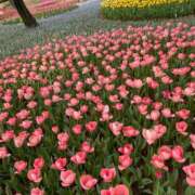 ヒメ日記 2025/06/23 14:03 投稿 かなで 川崎・東横人妻城