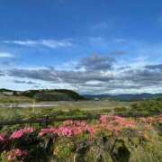 ヒメ日記 2025/10/25 18:12 投稿 かなで 川崎・東横人妻城