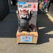 ヒメ日記 2026/02/26 15:07 投稿 かなで 川崎・東横人妻城