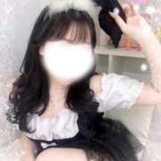 ヒメ日記 2026/03/20 12:50 投稿 ミラン いたずらバニーちゃん