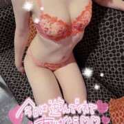 ヒメ日記 2025/07/21 07:00 投稿 まほ consolation