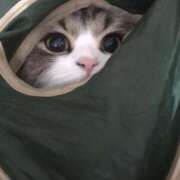 ヒメ日記 2024/12/27 09:35 投稿 竹下ゆう お色気物語（横浜ハレ系）