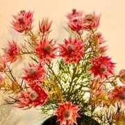 ヒメ日記 2025/01/07 09:37 投稿 竹下ゆう お色気物語（横浜ハレ系）