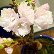 ヒメ日記 2025/04/06 21:45 投稿 竹下ゆう お色気物語（横浜ハレ系）