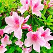 ヒメ日記 2025/04/12 09:37 投稿 竹下ゆう お色気物語（横浜ハレ系）