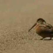 ヒメ日記 2025/04/21 09:32 投稿 竹下ゆう お色気物語（横浜ハレ系）