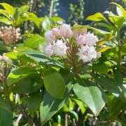 ヒメ日記 2025/05/01 09:48 投稿 竹下ゆう お色気物語（横浜ハレ系）