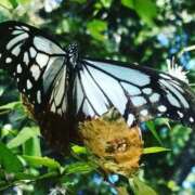 ヒメ日記 2025/05/25 09:48 投稿 竹下ゆう お色気物語（横浜ハレ系）