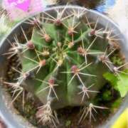 ヒメ日記 2025/05/31 09:41 投稿 竹下ゆう お色気物語（横浜ハレ系）