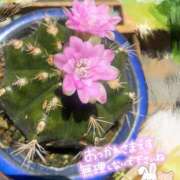 ヒメ日記 2025/06/20 09:45 投稿 竹下ゆう お色気物語（横浜ハレ系）