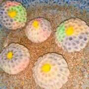 ヒメ日記 2025/08/13 21:17 投稿 竹下ゆう お色気物語（横浜ハレ系）