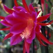 ヒメ日記 2025/08/30 09:37 投稿 竹下ゆう お色気物語（横浜ハレ系）