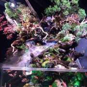 ヒメ日記 2025/10/04 09:40 投稿 竹下ゆう お色気物語（横浜ハレ系）