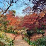 ヒメ日記 2025/12/01 09:41 投稿 竹下ゆう お色気物語（横浜ハレ系）