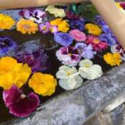 ヒメ日記 2026/01/05 09:39 投稿 竹下ゆう お色気物語（横浜ハレ系）