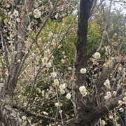 ヒメ日記 2026/01/08 09:39 投稿 竹下ゆう お色気物語（横浜ハレ系）