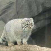 ヒメ日記 2026/02/10 09:31 投稿 竹下ゆう お色気物語（横浜ハレ系）