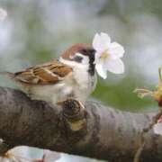 ヒメ日記 2026/03/30 09:41 投稿 竹下ゆう お色気物語（横浜ハレ系）