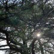 ヒメ日記 2025/06/03 19:24 投稿 里沙 東京人妻フォーシーズンズ