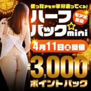 ヒメ日記 2026/04/10 14:14 投稿 める 木更津人妻花壇