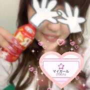 ヒメ日記 2025/03/31 21:57 投稿 なゆみ ぽっちゃりきぶん