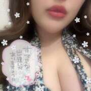 ヒメ日記 2025/04/29 10:15 投稿 なゆみ ぽっちゃりきぶん