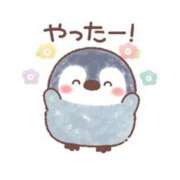 ヒメ日記 2025/01/13 17:21 投稿 カノン ヴィーナス(金津園)