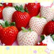 ヒメ日記 2025/03/24 20:42 投稿 カノン ヴィーナス(金津園)