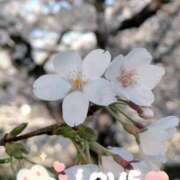 ヒメ日記 2025/04/04 18:03 投稿 カノン ヴィーナス(金津園)