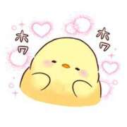 ヒメ日記 2025/04/07 18:18 投稿 カノン ヴィーナス(金津園)