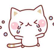 ヒメ日記 2025/04/13 14:33 投稿 カノン ヴィーナス(金津園)