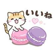 ヒメ日記 2025/04/17 08:42 投稿 カノン ヴィーナス(金津園)