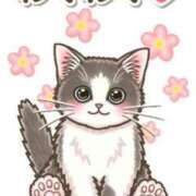 ヒメ日記 2025/04/29 16:33 投稿 カノン ヴィーナス(金津園)