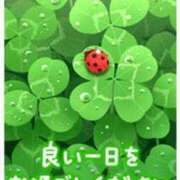 ヒメ日記 2025/06/20 14:42 投稿 カノン ヴィーナス(金津園)