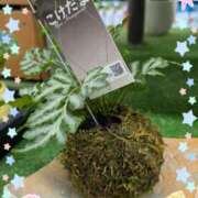 ヒメ日記 2025/07/11 18:48 投稿 カノン ヴィーナス(金津園)