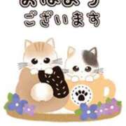 ヒメ日記 2025/07/14 08:36 投稿 カノン ヴィーナス(金津園)