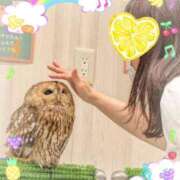 ヒメ日記 2025/08/02 16:33 投稿 カノン ヴィーナス(金津園)