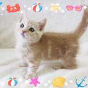 ヒメ日記 2025/08/19 22:27 投稿 カノン ヴィーナス(金津園)