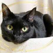 ヒメ日記 2025/09/06 11:48 投稿 カノン ヴィーナス(金津園)