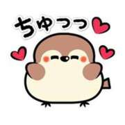 ヒメ日記 2025/09/30 08:27 投稿 カノン ヴィーナス(金津園)