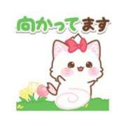 ヒメ日記 2025/10/12 16:27 投稿 カノン ヴィーナス(金津園)