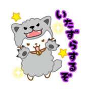 ヒメ日記 2025/10/22 20:18 投稿 カノン ヴィーナス(金津園)