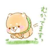 ヒメ日記 2025/11/05 08:06 投稿 カノン ヴィーナス(金津園)