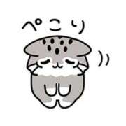 ヒメ日記 2025/11/10 19:33 投稿 カノン ヴィーナス(金津園)