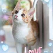 ヒメ日記 2025/11/28 19:33 投稿 カノン ヴィーナス(金津園)