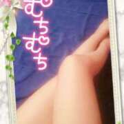 ヒメ日記 2025/12/31 19:33 投稿 カノン ヴィーナス(金津園)