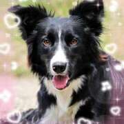 ヒメ日記 2026/01/15 11:33 投稿 カノン ヴィーナス(金津園)