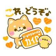 ヒメ日記 2026/01/21 20:18 投稿 カノン ヴィーナス(金津園)